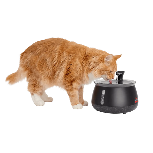 HydrateWell™ Cat Water Fountain – Fresh, Filtered Water with Ultra-Quiet Wireless Pump
