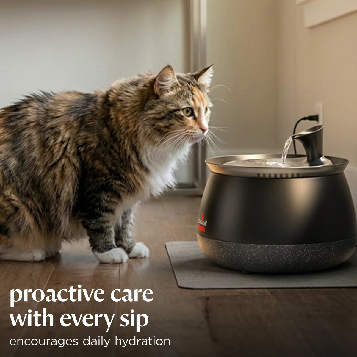 HydrateWell™ Cat Water Fountain – Fresh, Filtered Water with Ultra-Quiet Wireless Pump