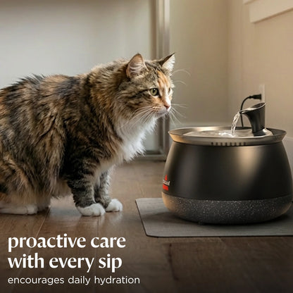 HydrateWell™ Cat Water Fountain – Fresh, Filtered Water with Ultra-Quiet Wireless Pump